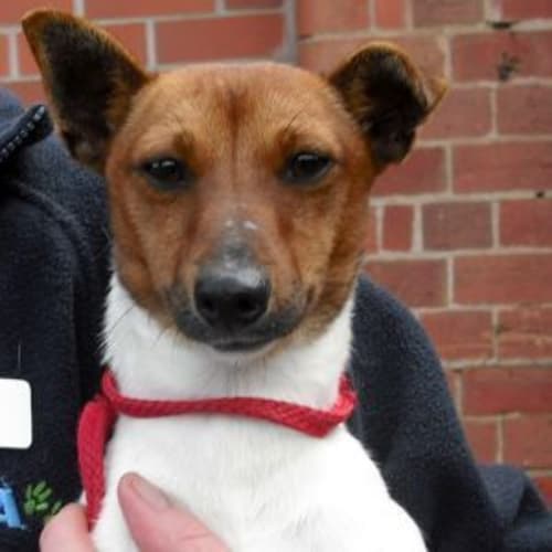 No photo for 440249.0