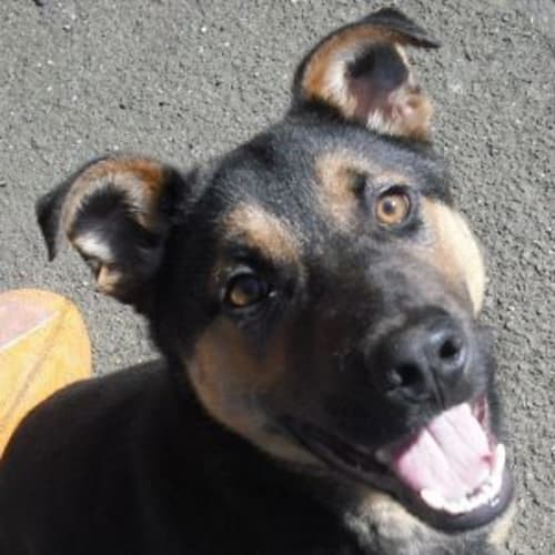 No photo for 440380.0