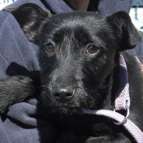 No photo for 440374.0