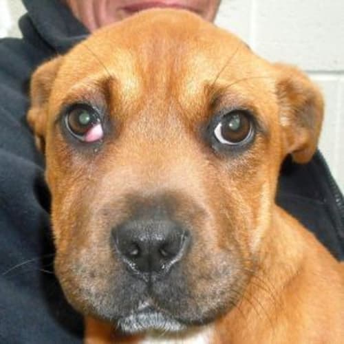 No photo for 440416.0