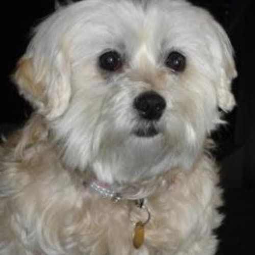 Millie