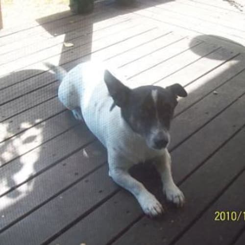 Milo