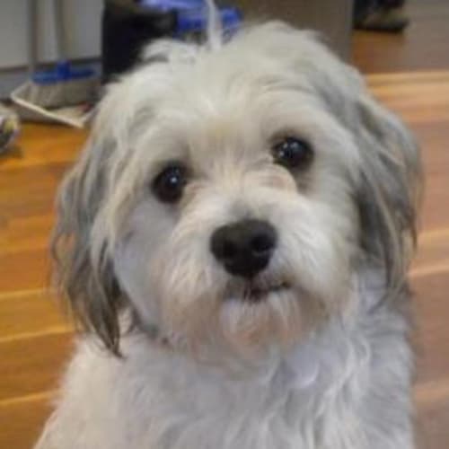 Charlie Is Trying A New Home!!