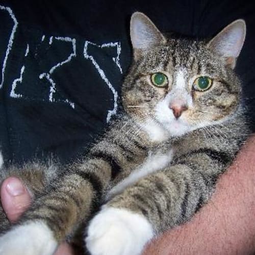 No photo for Jasper