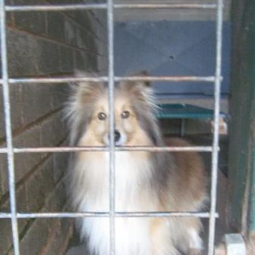 No photo for Bonnie(on Trial)
