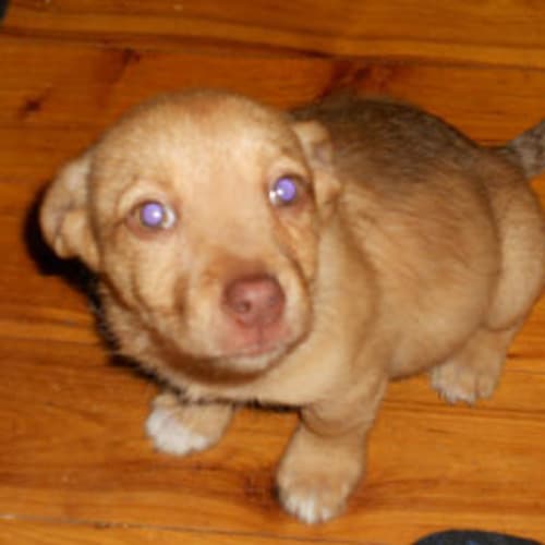 Spice Is Trying A New Home !!