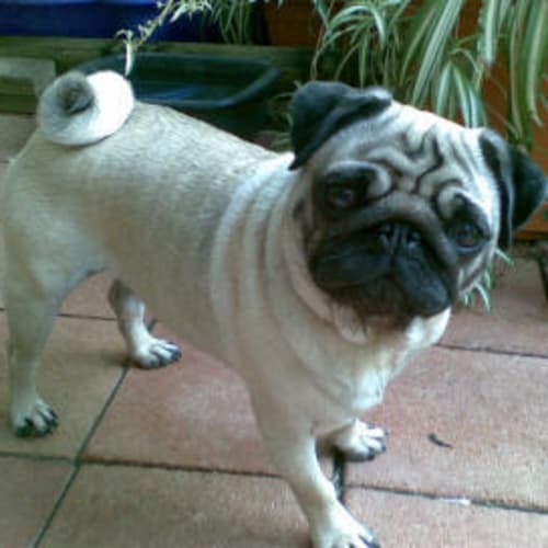 Peggy Is Trying A New Home !!