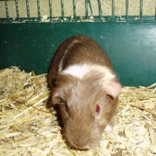 No photo for Winnie