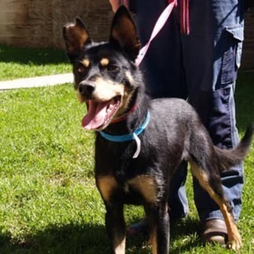 No photo for Chip