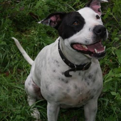 No photo for Ruby On Trial
