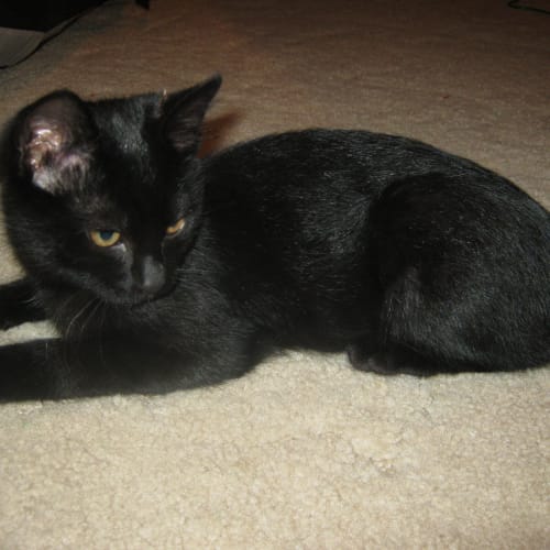 No photo for Diego (On Trial With His New Family)