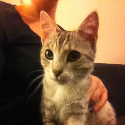 No photo for Remy