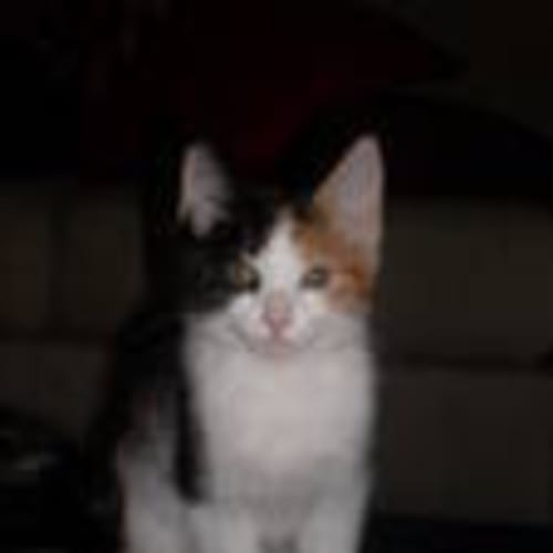 No photo for Rubi