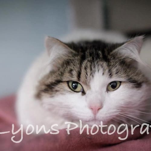 No photo for Ruby