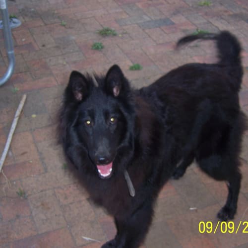 No photo for Sarah (On Trial With Her New Family)