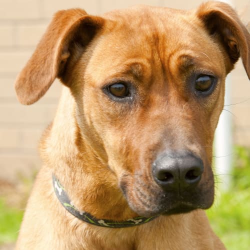 No photo for Masie Id8772