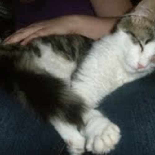 No photo for Tony And Leo