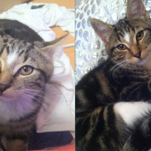 No photo for Lucifier