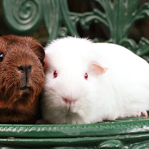 No photo for Coconut And Flour!