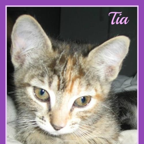 No photo for Tia