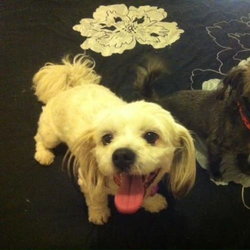 No photo for Maggie And Archie