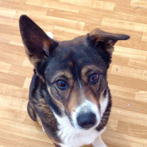 No photo for **On Trial With My New Family** Zeus