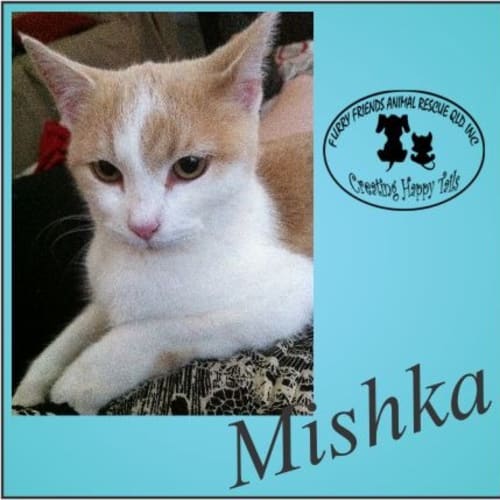 Mishka
