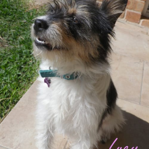 Lucy (On Trial 15/11/12)