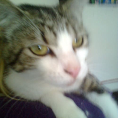 No photo for Larna