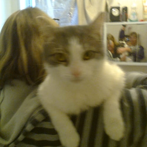 No photo for Oscar