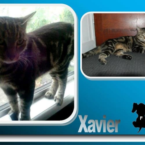 No photo for Xavier