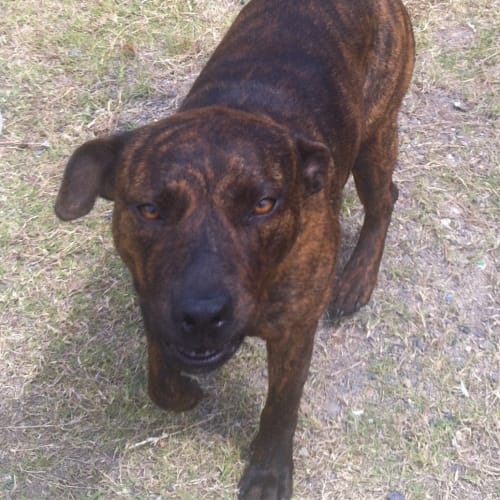 No photo for Kaizer