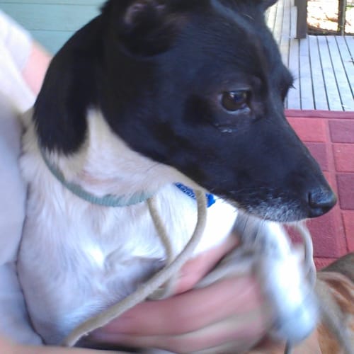 Tilly (On Trial 14/11/12)