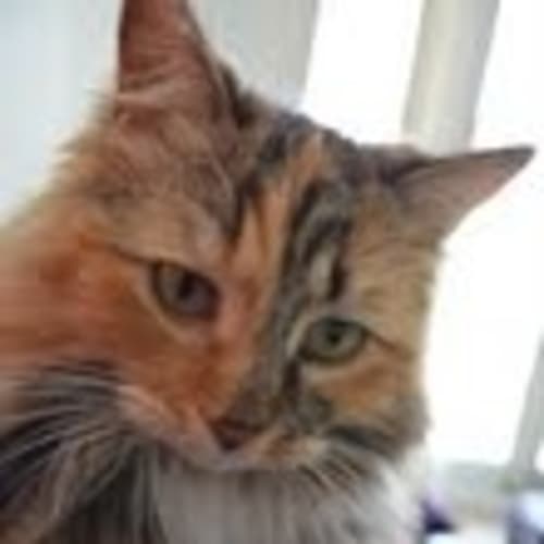 No photo for Roxy