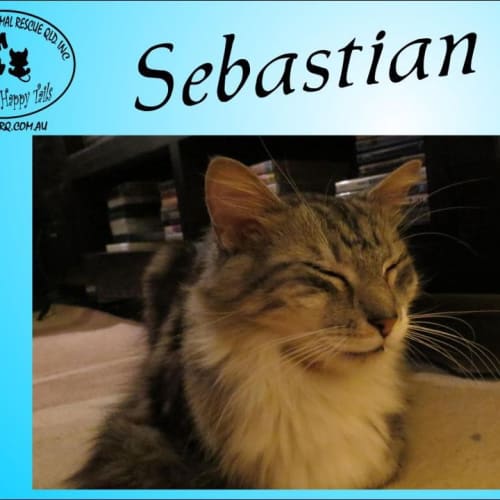 No photo for Sebastian