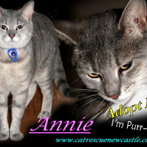 No photo for Annie