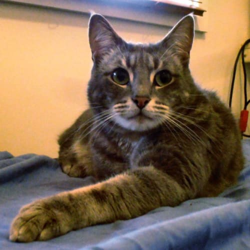 No photo for Axle
