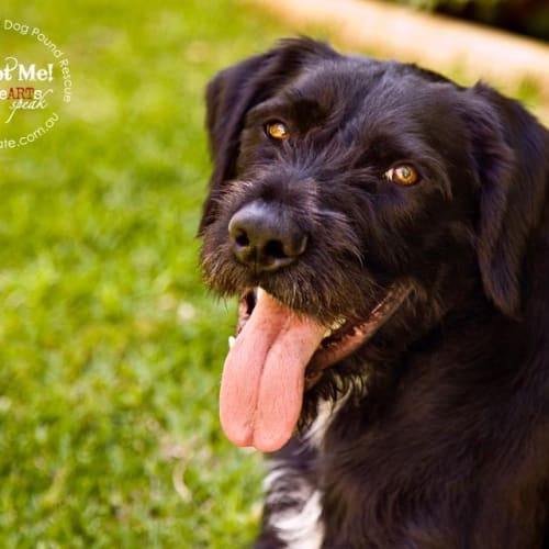 No photo for  Bodhi Will Make You Laugh Everyday:)