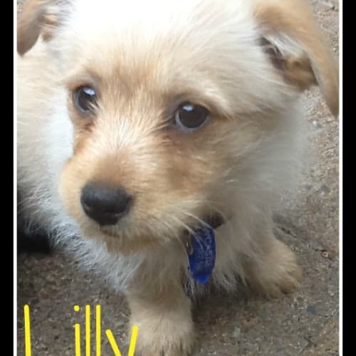 Lilly (On Trial 18/11/12)