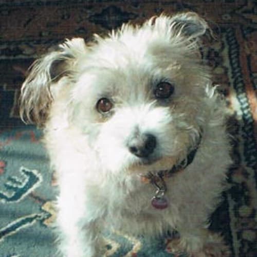 Sally