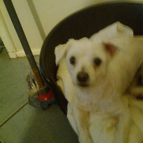 Maddy 