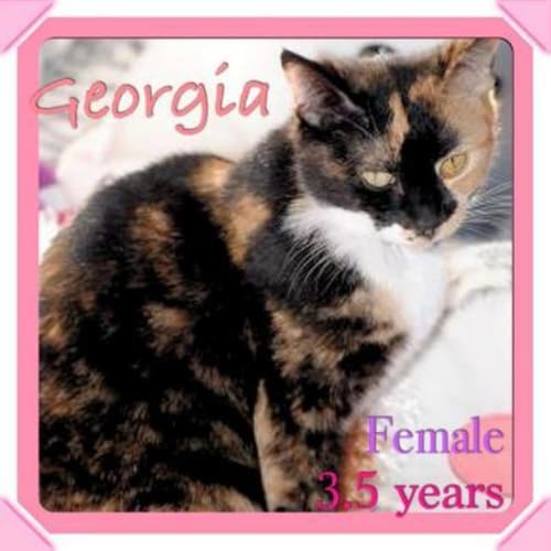 No photo for Georgia