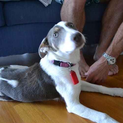 No photo for Sailor  **On Trial In My New Home**