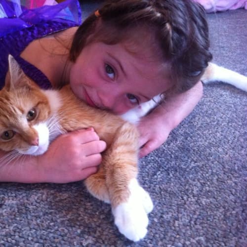 No photo for Pound Cats | Ada