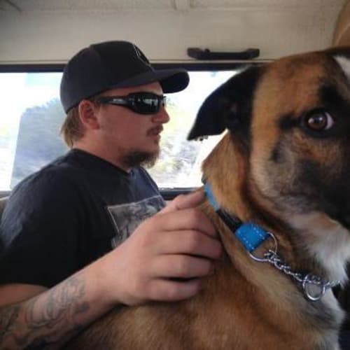 No photo for Driver  Smart And Cuddly Foster Or Adopt!