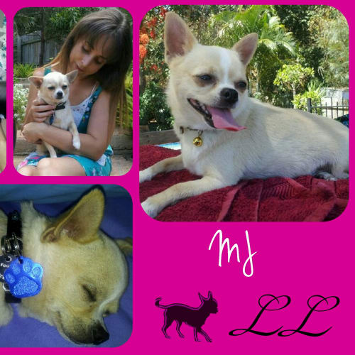MJ - I am purebred