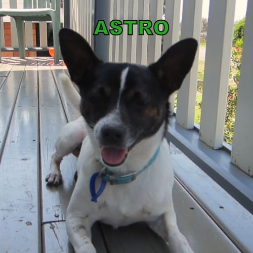 Astro (On Trial 13/1/13)