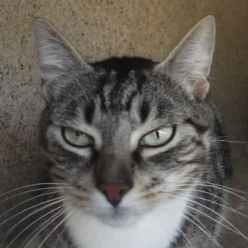 No photo for Marley 