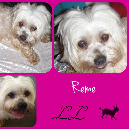 Reme