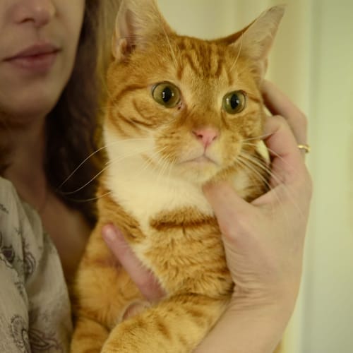 No photo for Ginge Aka Batman